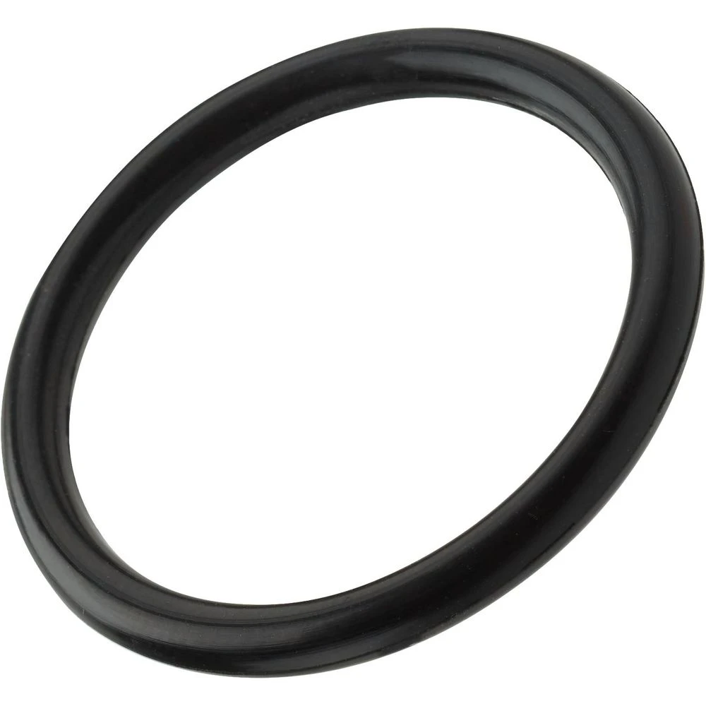 NRS Super Pump Replacement O-Ring 2 NRS Super Pump Replacement O-Ring - Image 2