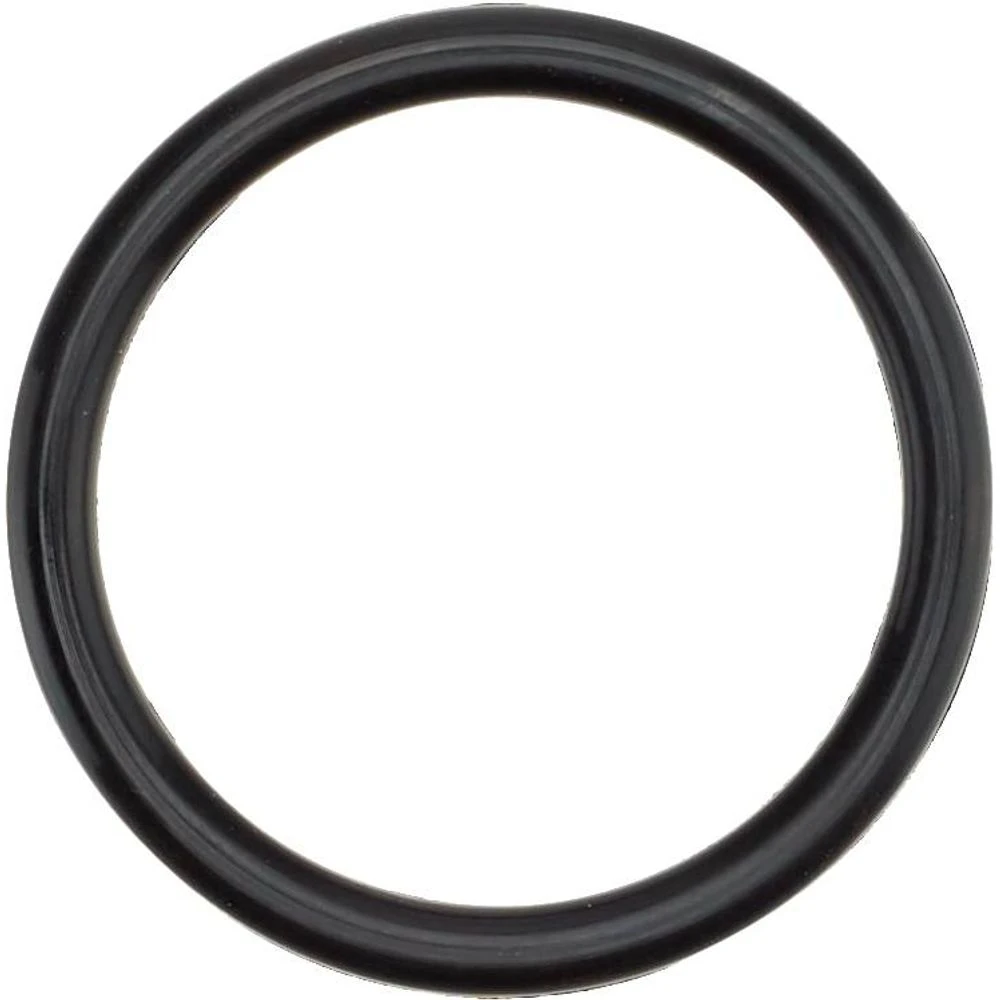 NRS Super Pump Replacement O-Ring 1 NRS Super Pump Replacement O-Ring